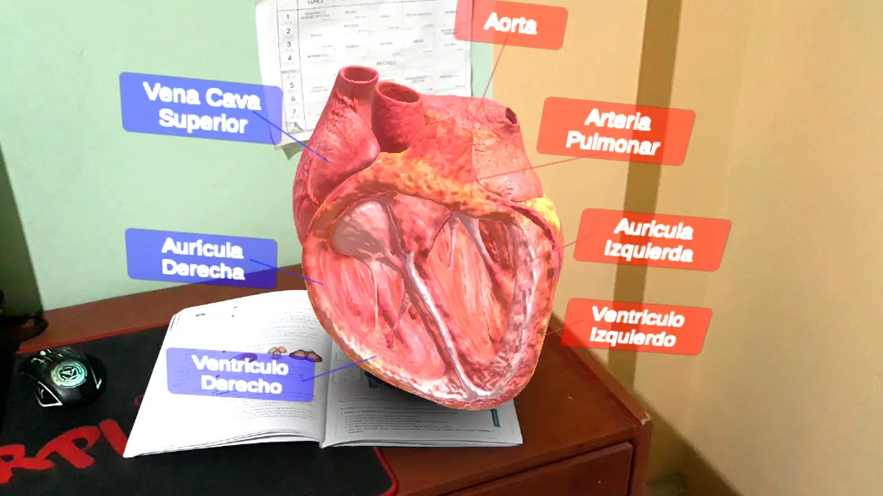 Proceso de desarrollo