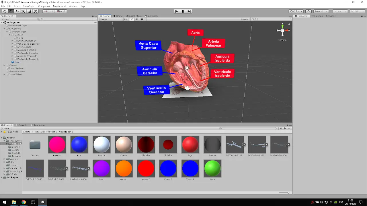 Captura de Anatomía interactiva — AR
